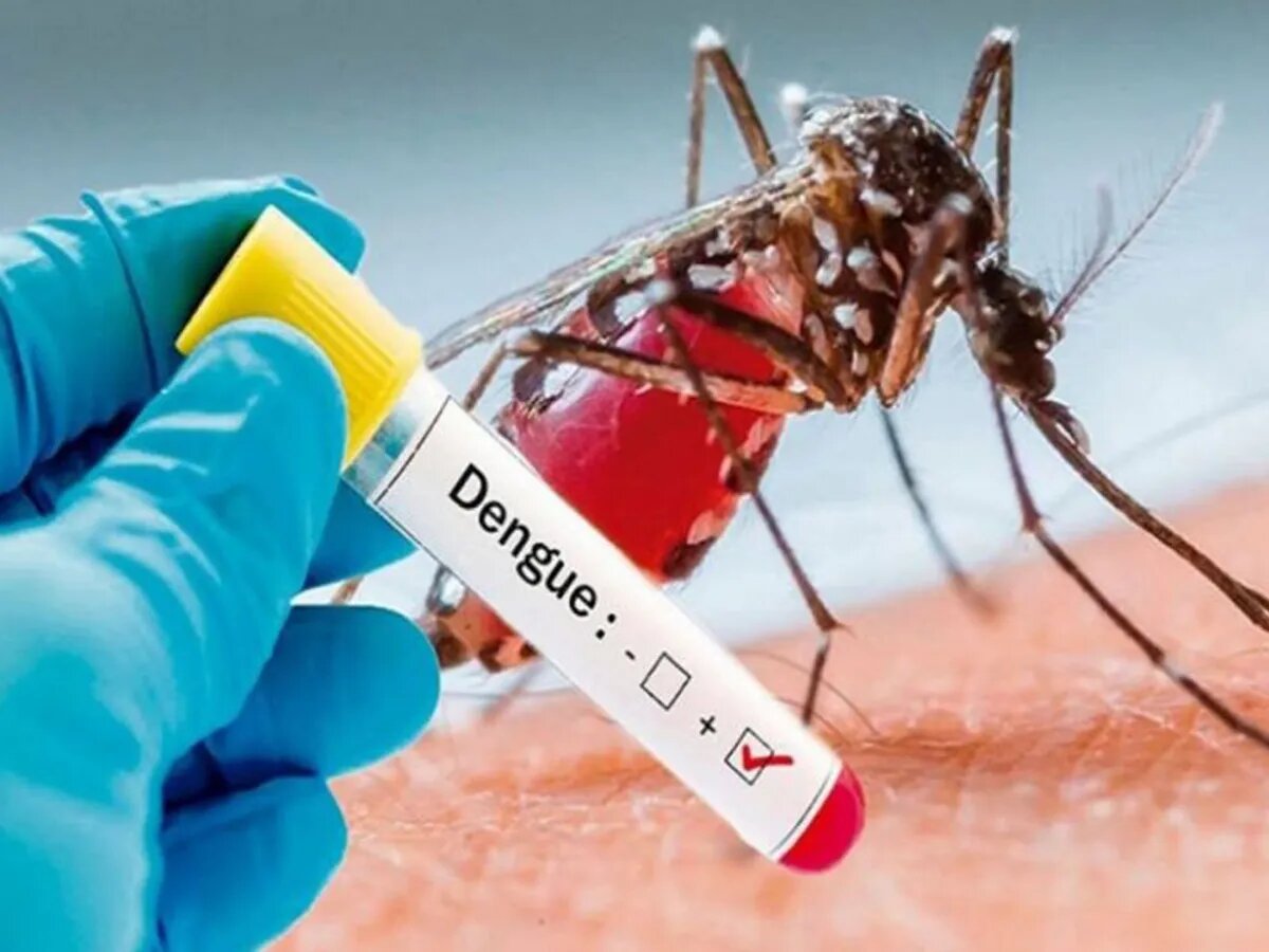 बलिया में डेंगू के मिले 14 मरीज, सामान्य लापरवाही पड़ सकती भारी
